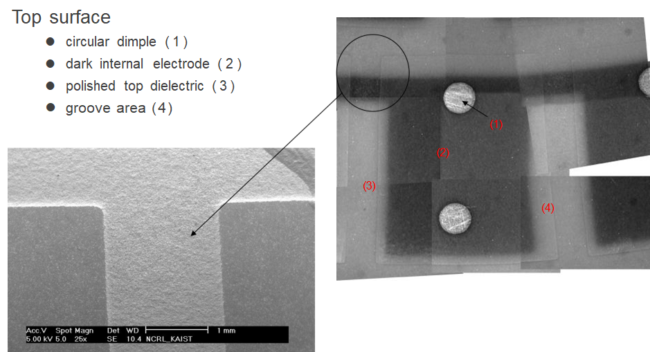 1710226786666498.png 1710226786666498.png