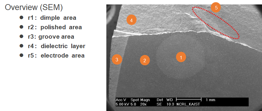 1710227161199369.png 1710227161199369.png